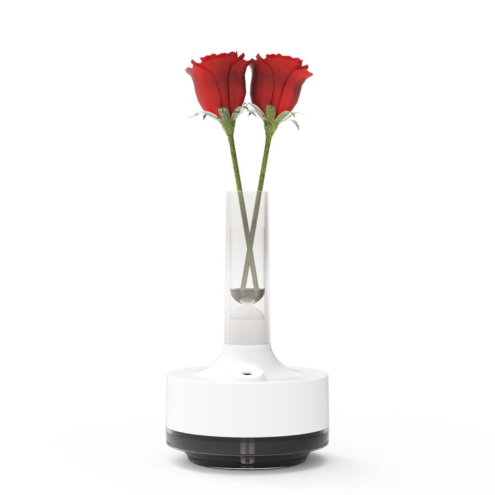 Time Vase Humidifier